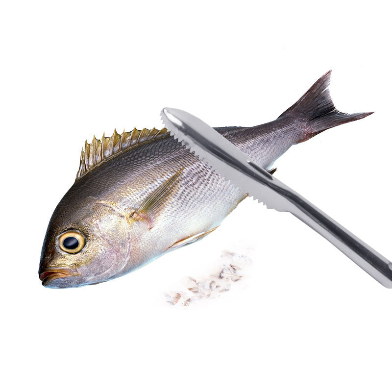Edelstahl-Fischschuppenschaber